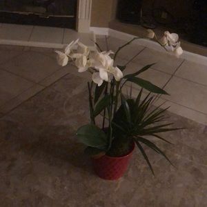 Meet your Posher, Ignacio